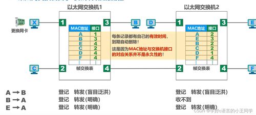 集線器與交換機 網(wǎng)絡(luò)連接的核心差異與演進